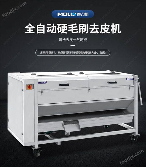 生姜果蔬清洗加工毛輥清洗去皮機 去皮設備