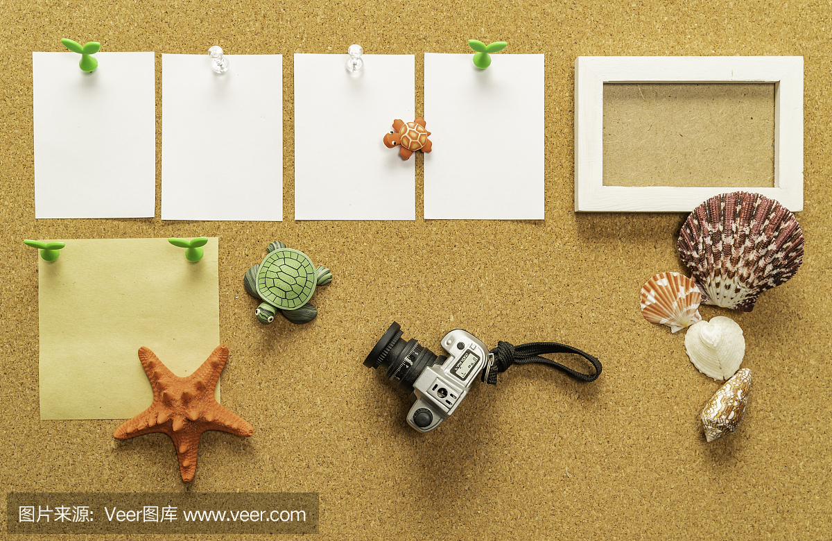 四張空白白紙,一張空白黃紙,配相框、相機、海貝、海星、海龜